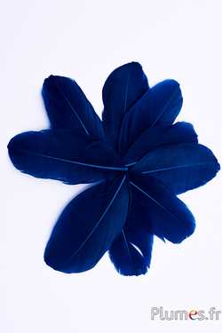 Blütenblätter aus Federn - 6-8 cm x 3-4 cm- nachtblau